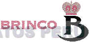 BRINCO B