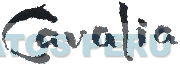 CAVALIA