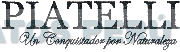PIATELLI UN CONQUISTADOR POR NATURALEZA