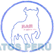 R&H LO MEJOR EN CUERO