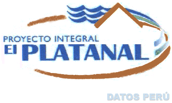 PROYECTO INTEGRAL EL PLATANAL