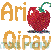 ARI QIPAY