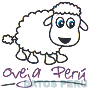 OVEJA PERÚ