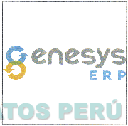GENESYS ERP
