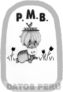P.M.B.