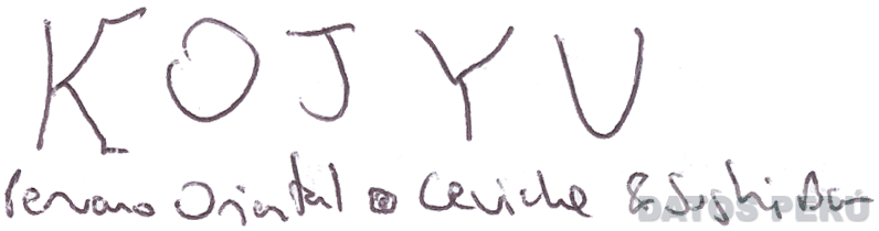 KOJYU Peruano Oriental Ceviche & Sushi