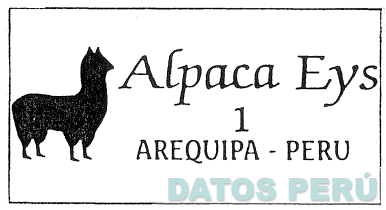 ALPACA EYS 1 AREQUIPA - PERU