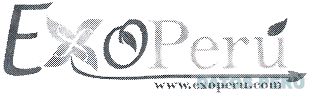 EXO PERÚ WWW.EXOPERU.COM