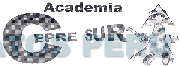 ACADEMIA CEPRE SUR