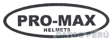 PRO-MAX HELMETS
