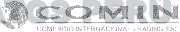 COMIN COMERCIO INTERNACIONAL TRADING SAC