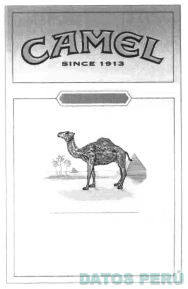 CAMEL SINCE 1913