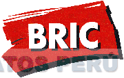 BRIC