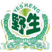 YESHENG