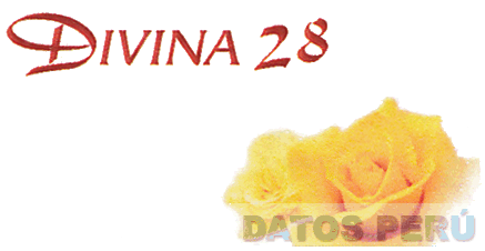 DIVINA 28