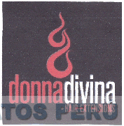 DONNA DIVINA HAIR EXTENSIONS