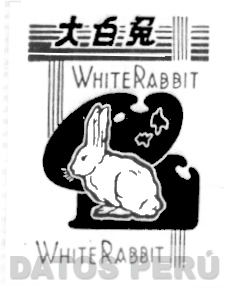WHITE RABBIT