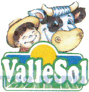 VALLESOL