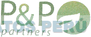 P&P PARTNERS