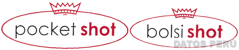 POCKET SHOT BOLSI SHOT