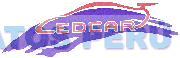 LED CAR