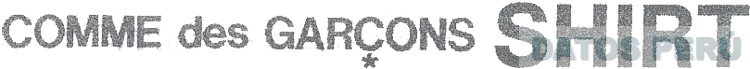COMME DES GARCONS SHIRT