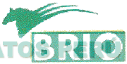 BRIO