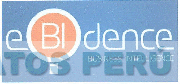 EBIDENCE BUSINESS INTELLIGENCE