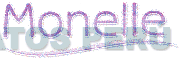 MONELLE