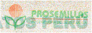 PROSEMILLAS PRODUCTORA DE SEMILLAS S.A.