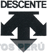 DESCENTE