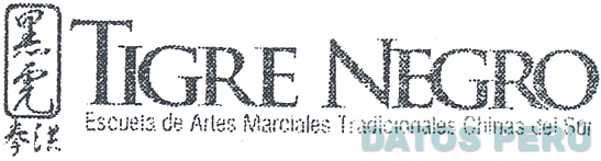 TIGRE NEGRO ESCUELA DE ARTES MARCIALES TRADICIONALES CHINAS DEL SUR