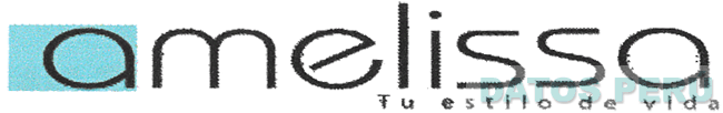 AMELISSA TU ESTILO DE VIDA