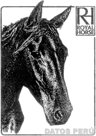 RH ROYAL HORSE
