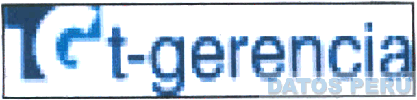 TG T-GERENCIA