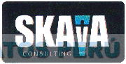 SKAVA CONSULTING