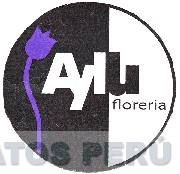 AYLLU FLORERIA