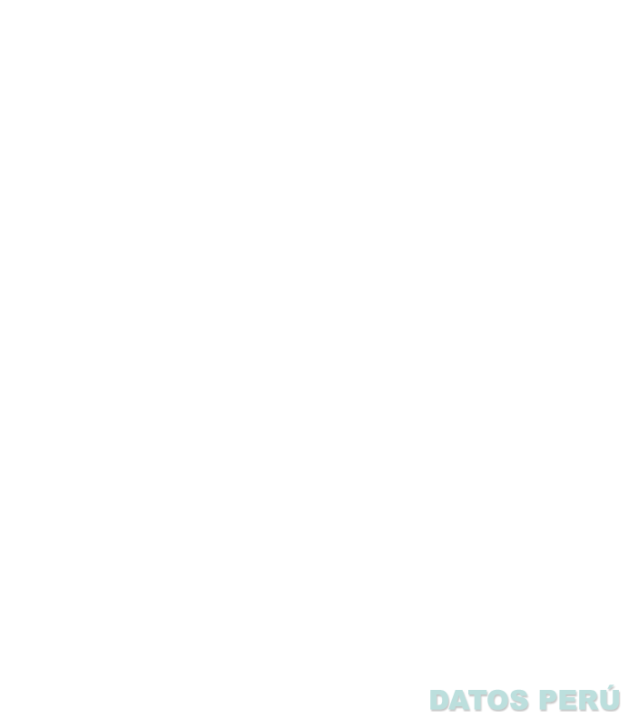 CHARLOTTE HORNETS