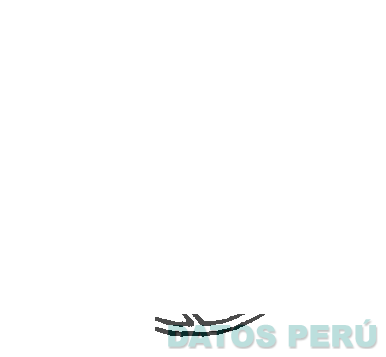 NETS