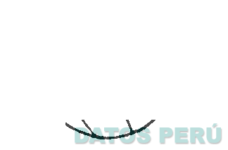 LOS ANGELES LAKERS