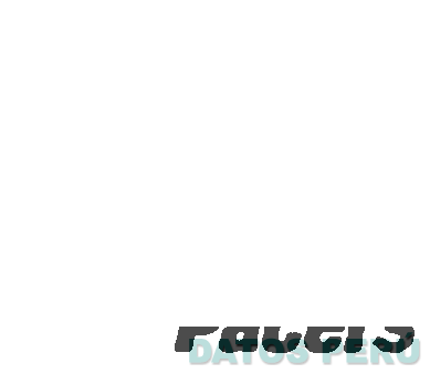 PACERS P