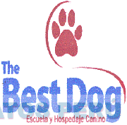 THE BEST DOG ESCUELA Y HOSPEDAJE CANINO