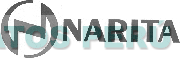 N NARITA