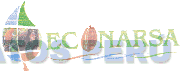 ECONARSA
