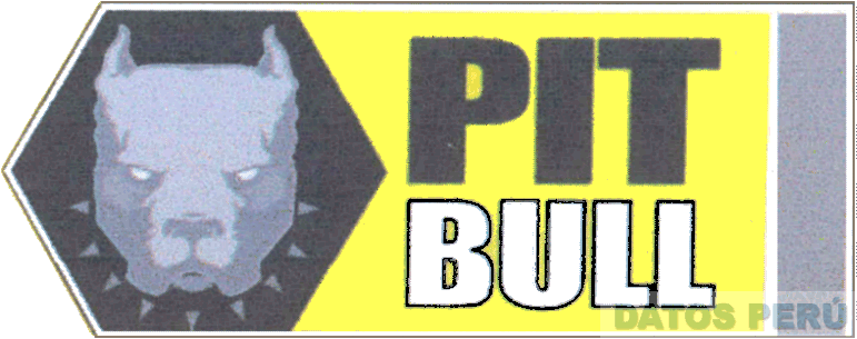 PITBULL
