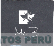 MR.B