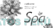 SPA RADIANTE FLORES SILVESTRES JABÓN DE BELLEZA