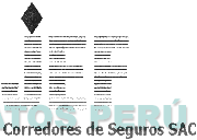 JEF CORREDORES DE SEGUROS SAC