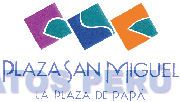 PLAZA SAN MIGUEL LA PLAZA DE PAPÁ