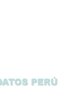SOUTH SHIPPING LIMITED S